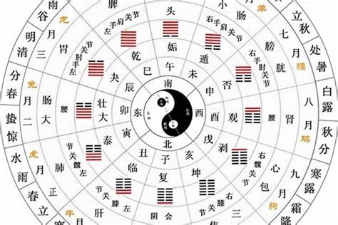 天干 陰陽|天幹地支